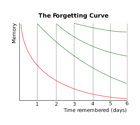 The forgetting curve 2
